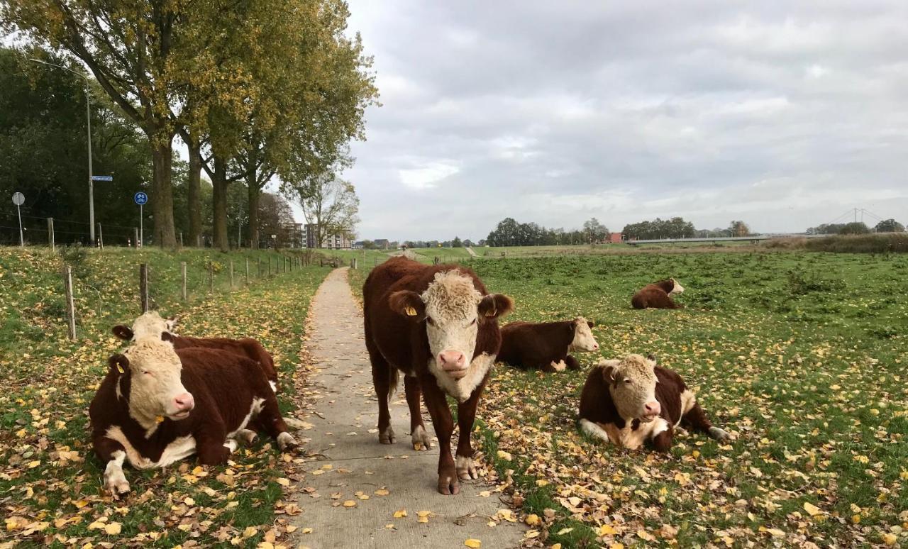 B&B Tussen Vecht En Veer Hardenberg Exterior foto