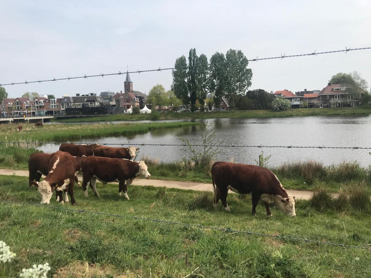 B&B Tussen Vecht En Veer Hardenberg Exterior foto